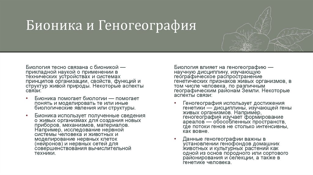 Бионика и Геногеография