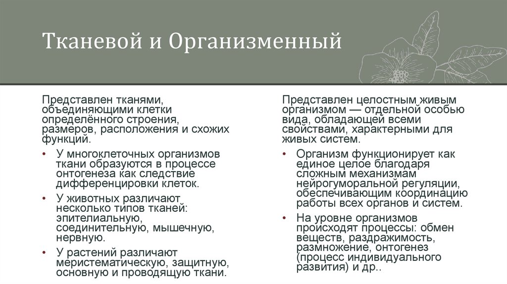 Тканевой и Организменный