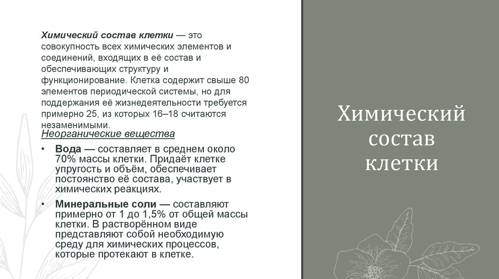 Химический состав клетки