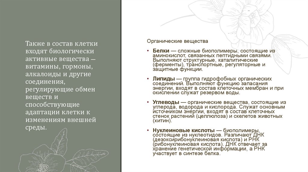 Также в состав клетки входят биологически активные вещества — витамины, гормоны, алкалоиды и другие соединения, регулирующие