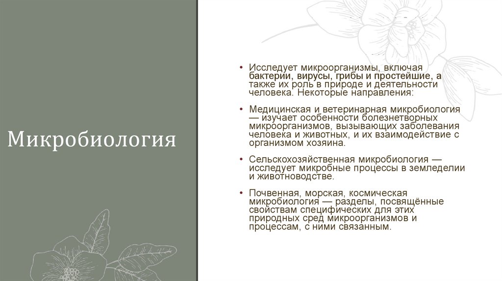 Микробиология