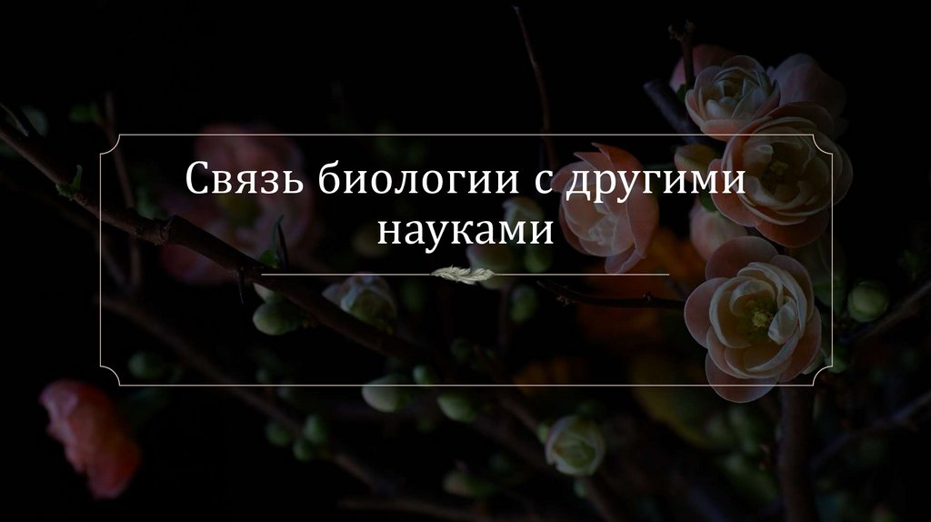 Связь биологии с другими науками