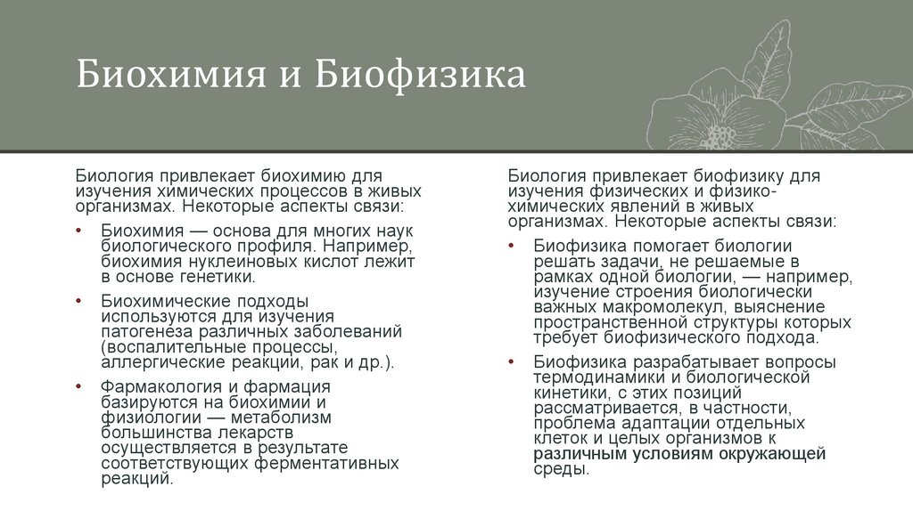 Биохимия и Биофизика