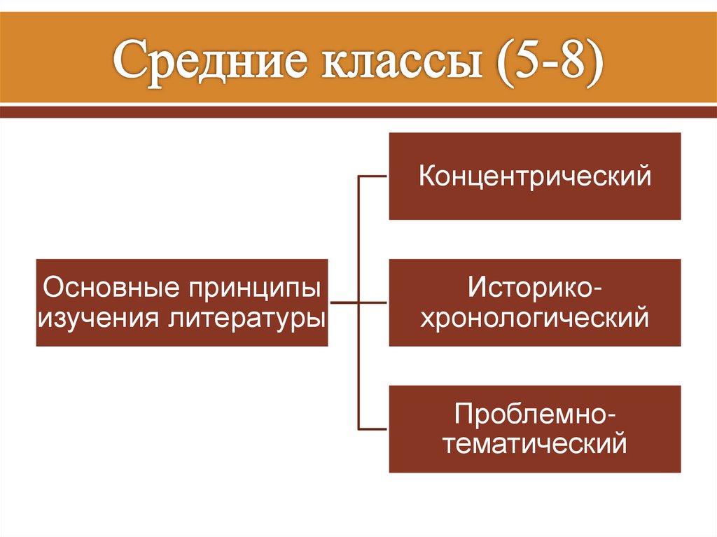 Средние классы (5-8)