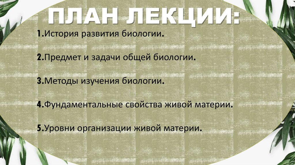 ПЛАН ЛЕКЦИИ: