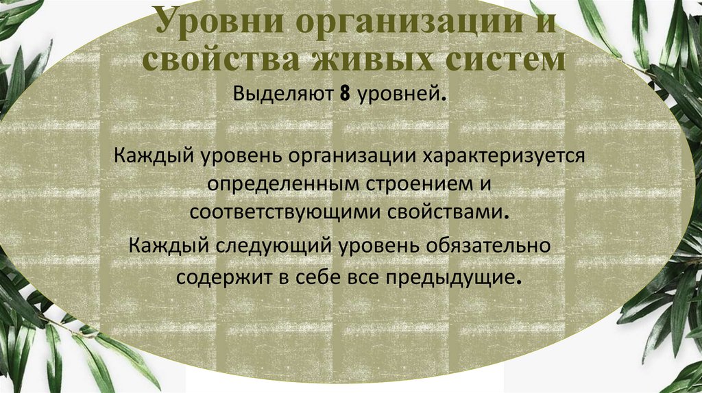 Уровни организации и свойства живых систем