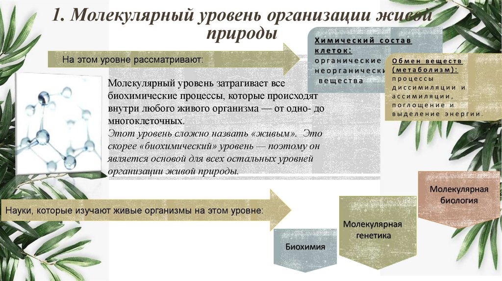 1. Молекулярный уровень организации живой природы