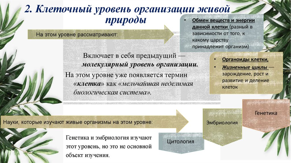 2. Клеточный уровень организации живой природы