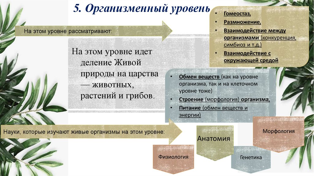 5. Организменный уровень