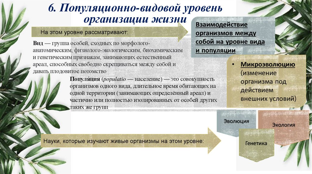 6. Популяционно-видовой уровень организации жизни