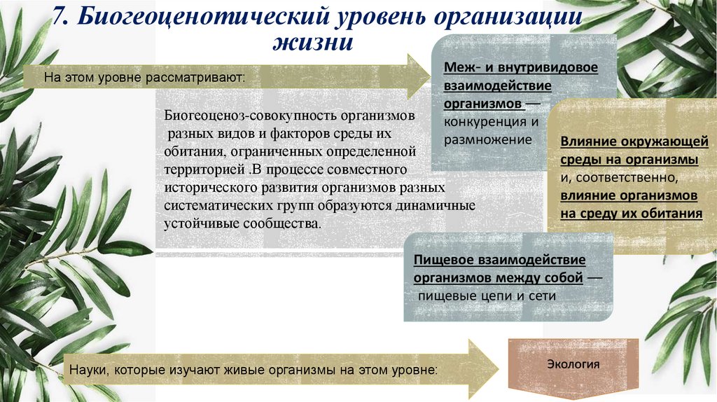  7. Биогеоценотический уровень организации жизни