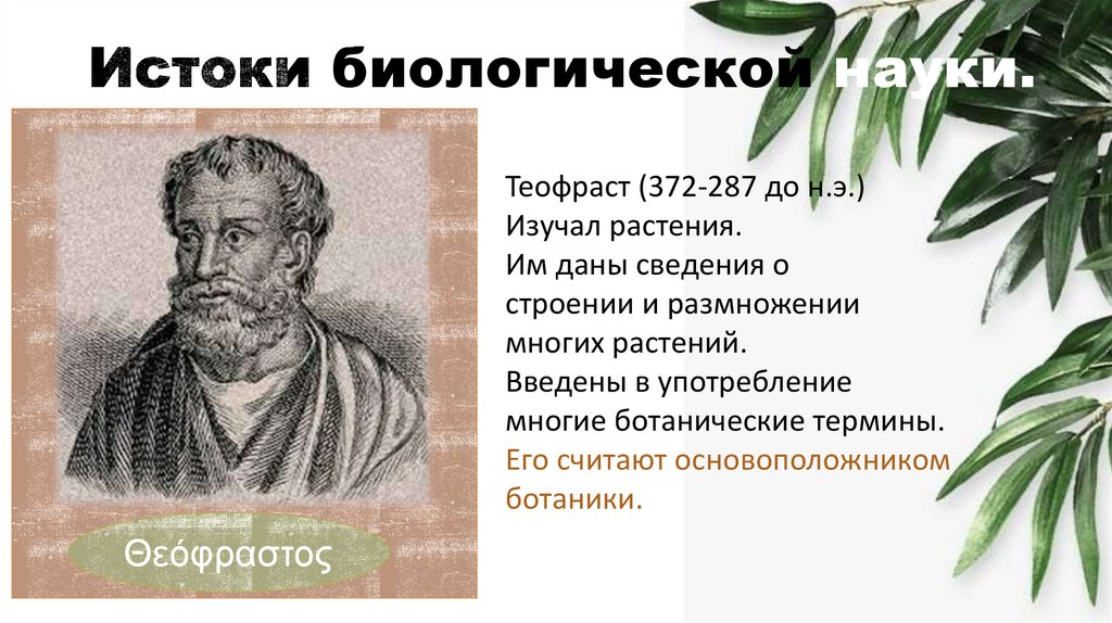 Истоки биологической науки.