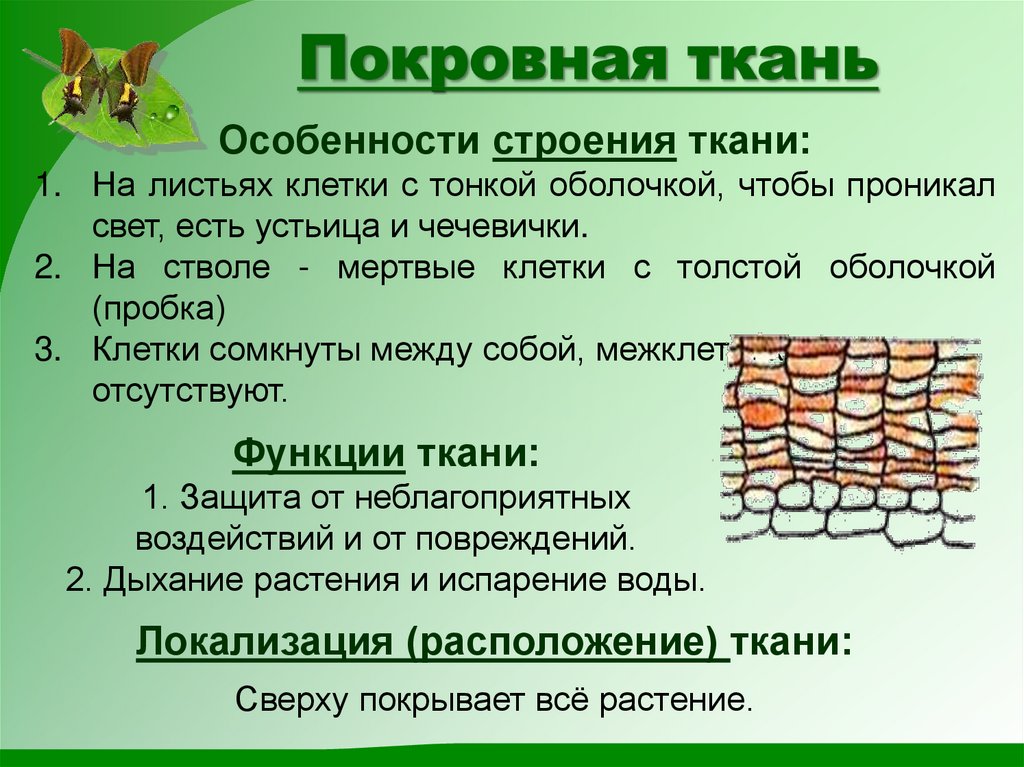 Покровная ткань