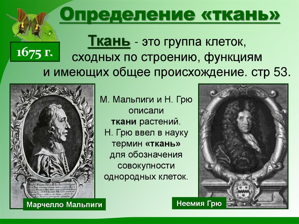 Определение «ткань»