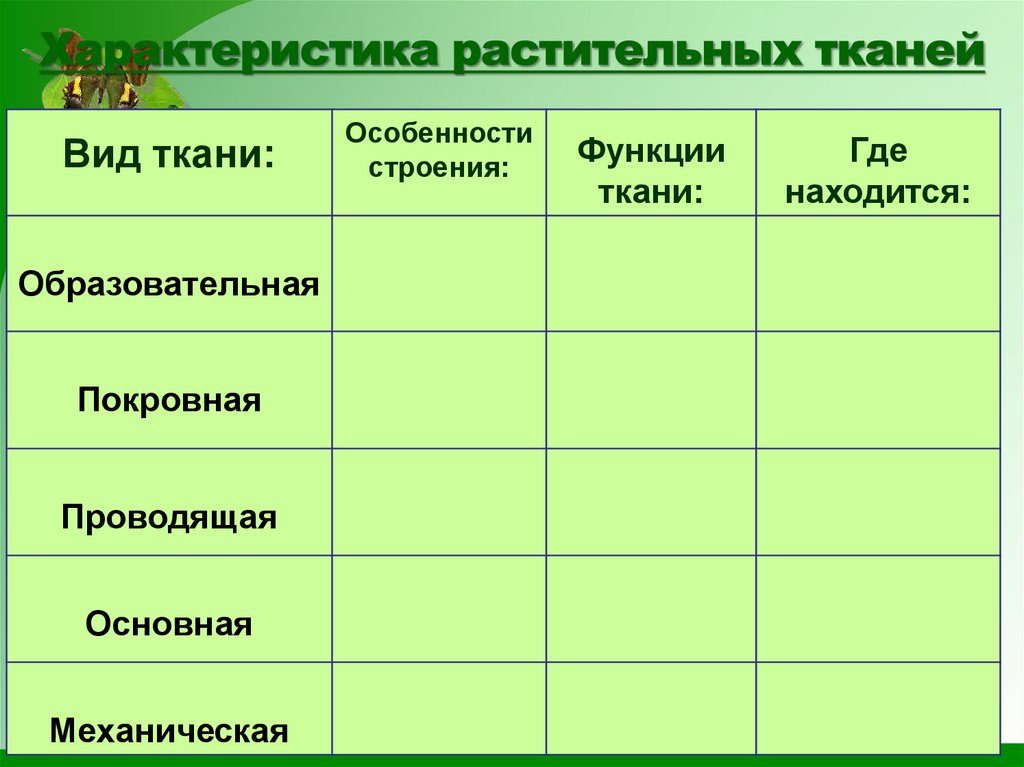Характеристика растительных тканей
