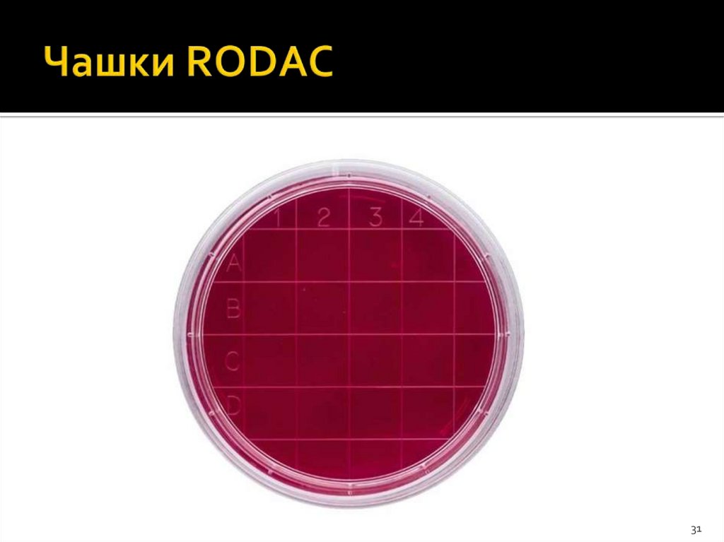 Чашки RODAC
