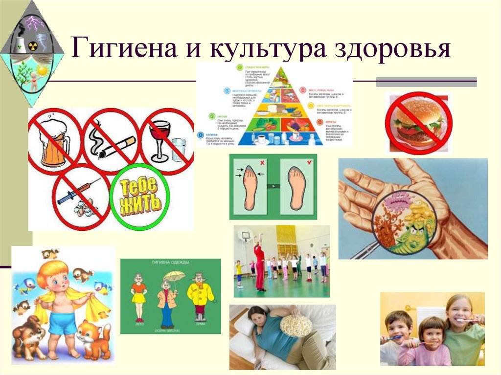 Гигиена и культура здоровья