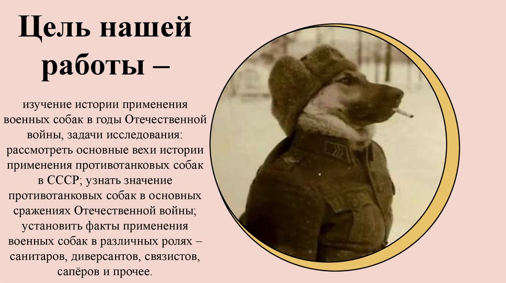 Цель нашей работы –