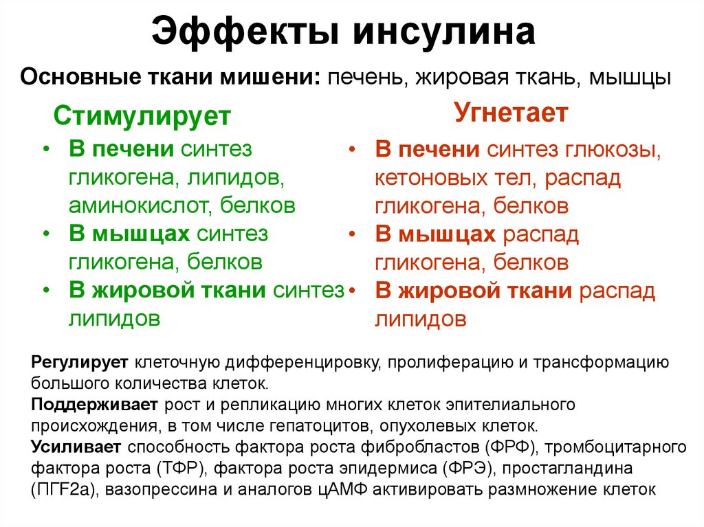 Эффекты инсулина