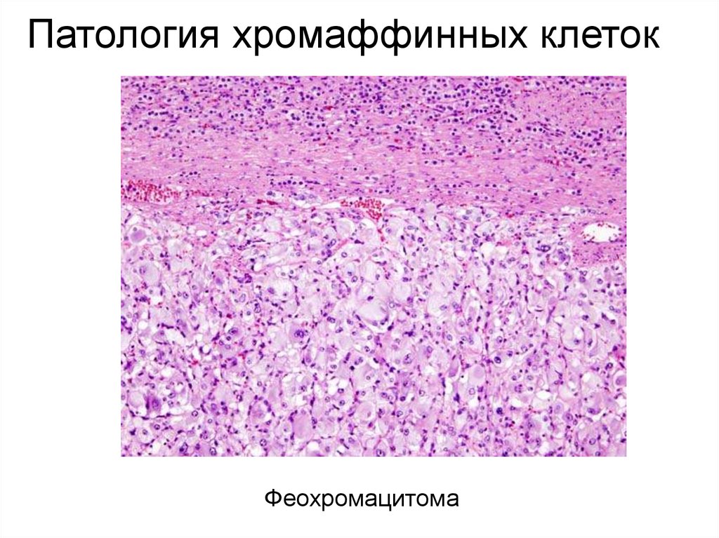 Эффекты адреналина