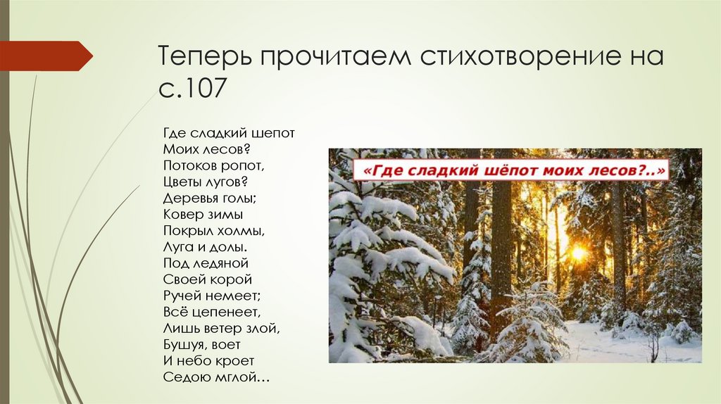 Теперь прочитаем стихотворение на с.107