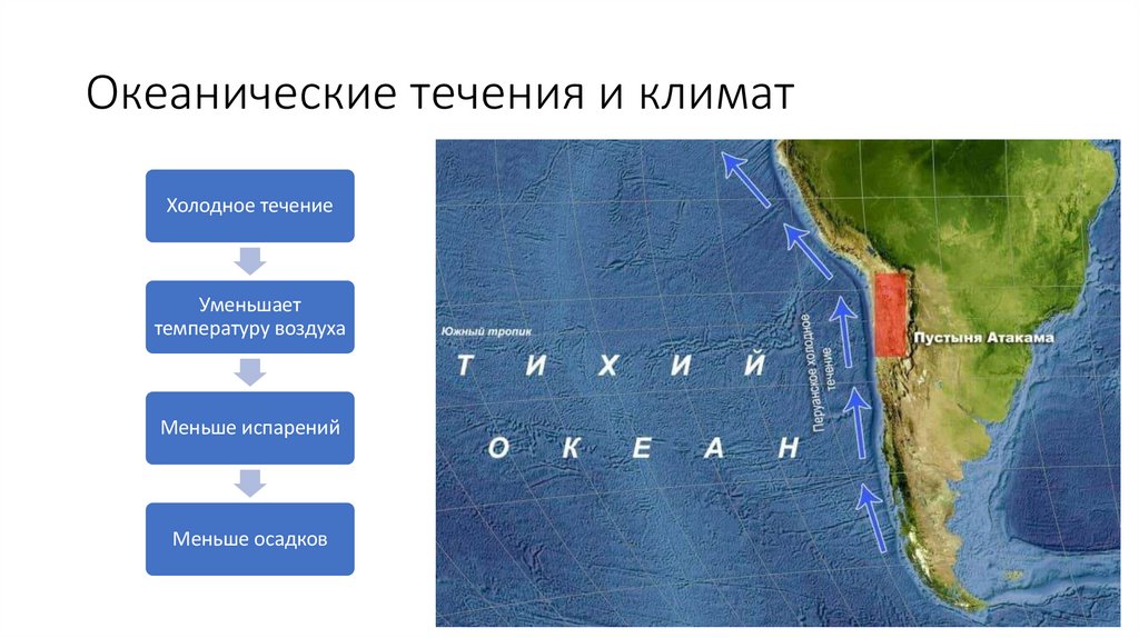 Океанические течения и климат