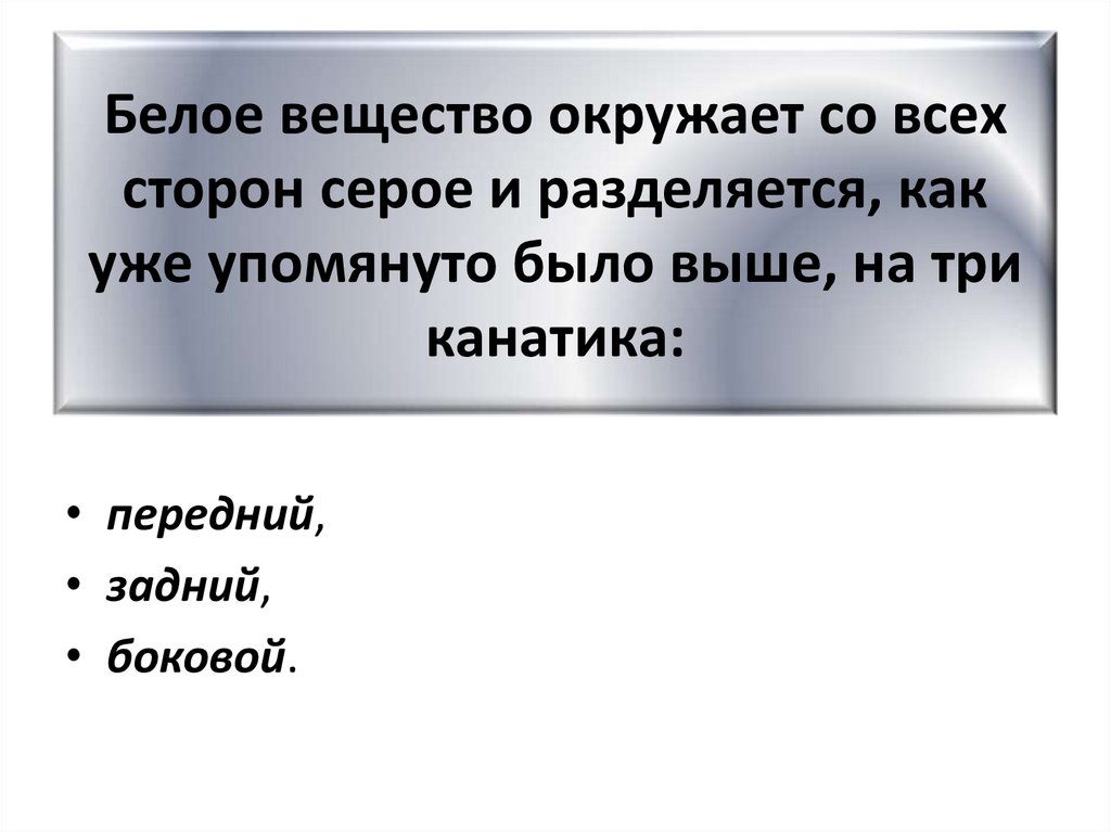 Белое вещество окружает со всех сторон серое и разделяется, как уже упомянуто было выше, на три канатика: