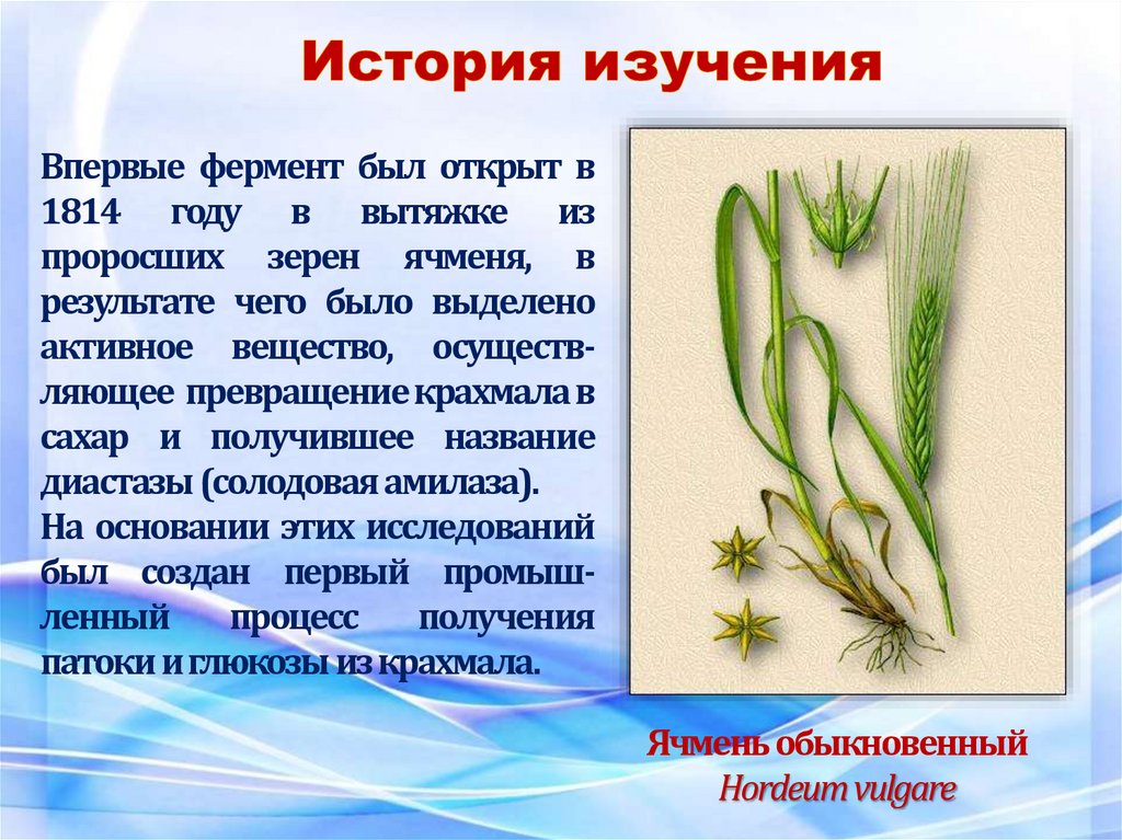 История изучения