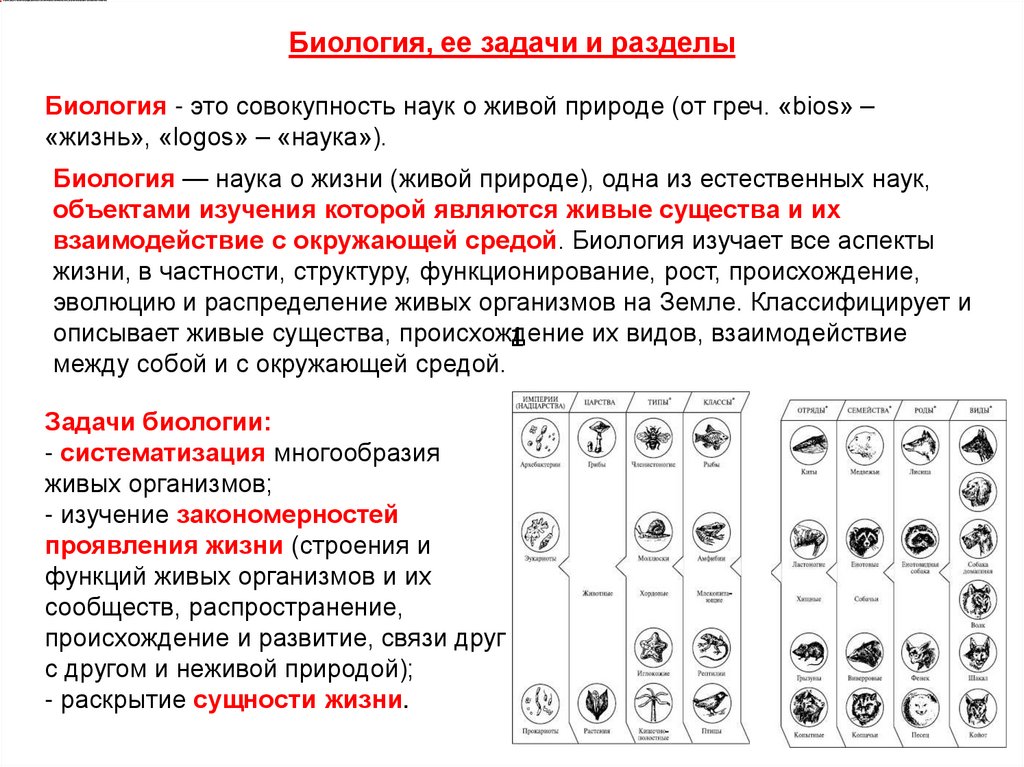 Биология, ее задачи и разделы