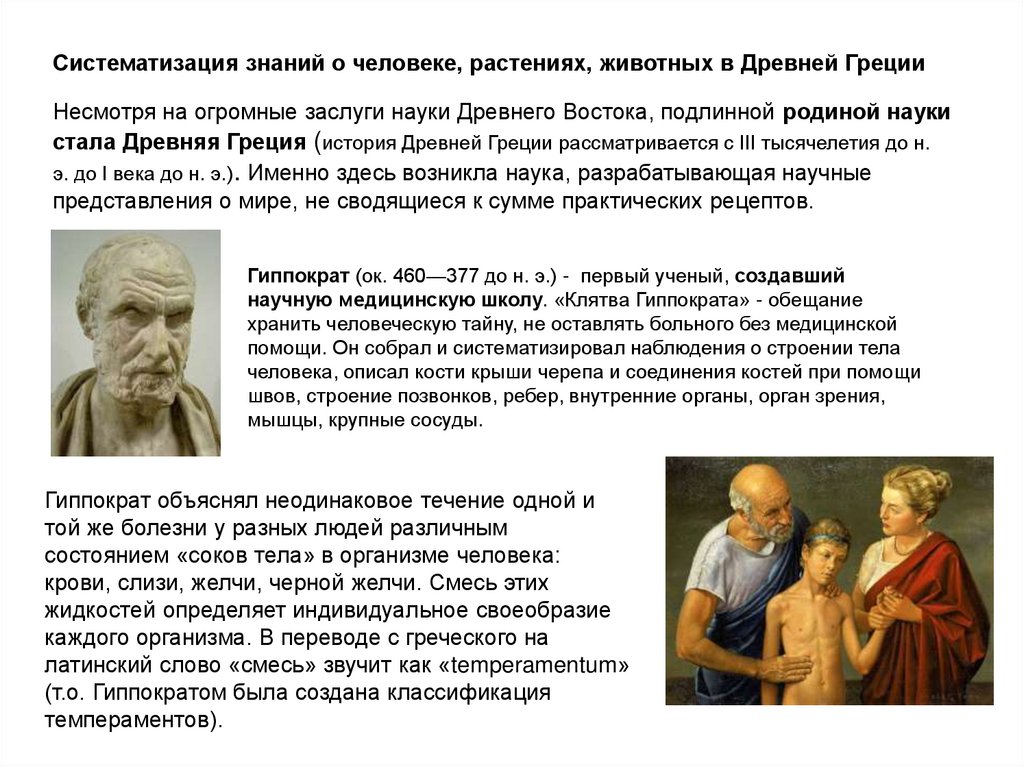 Гиппократ (ок. 460—377 до н. э.) - первый ученый, создавший научную медицинскую школу. «Клятва Гиппократа» - обещание хранить