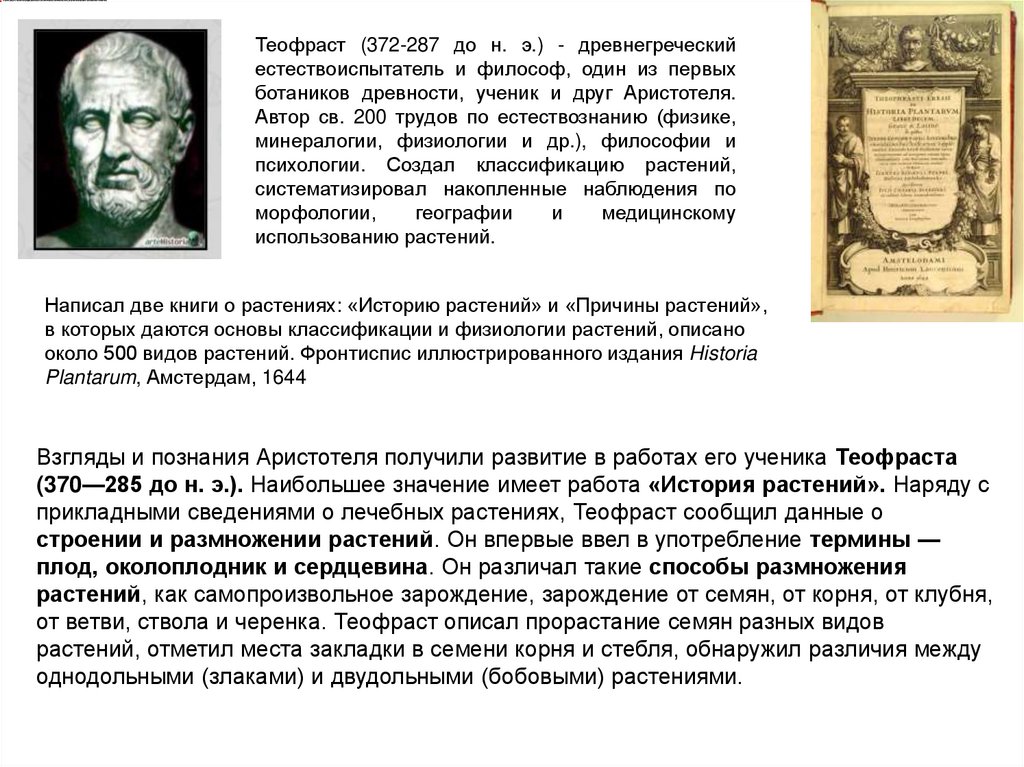 Взгляды и познания Аристотеля получили развитие в работах его ученика Теофраста (370—285 до н. э.). Наибольшее значение имеет