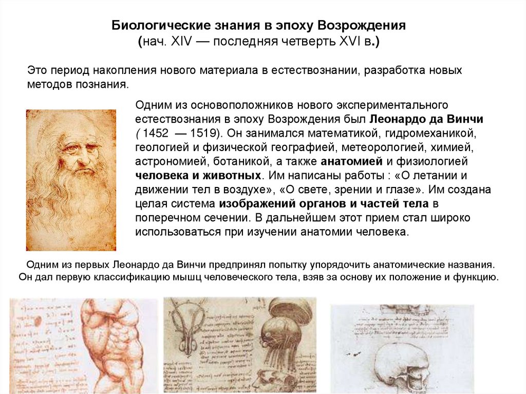 Одним из основоположников нового экспериментального естествознания в эпоху Возрождения был Леонардо да Винчи ( 1452  — 1519).