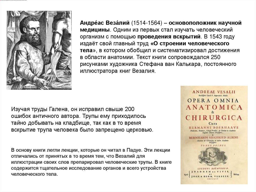 Андре́ас Веза́лий (1514-1564) – основоположник научной медицины. Одним из первых стал изучать человеческий организм с помощью
