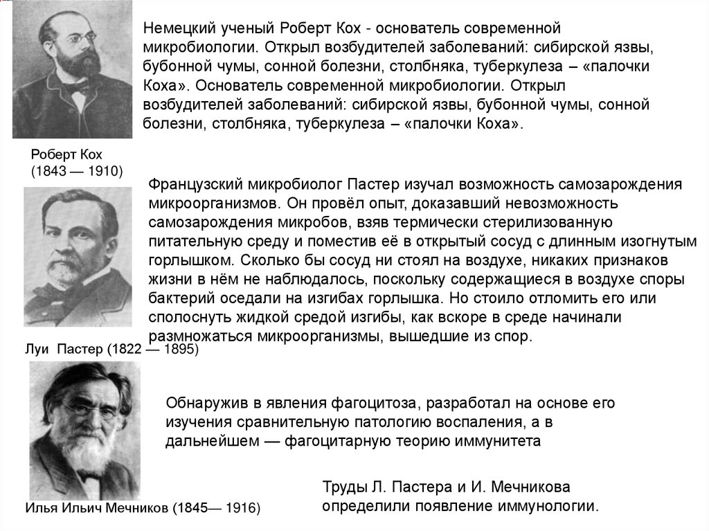 Немецкий ученый Роберт Кох - основатель современной микробиологии. Открыл возбудителей заболеваний: сибирской язвы, бубонной