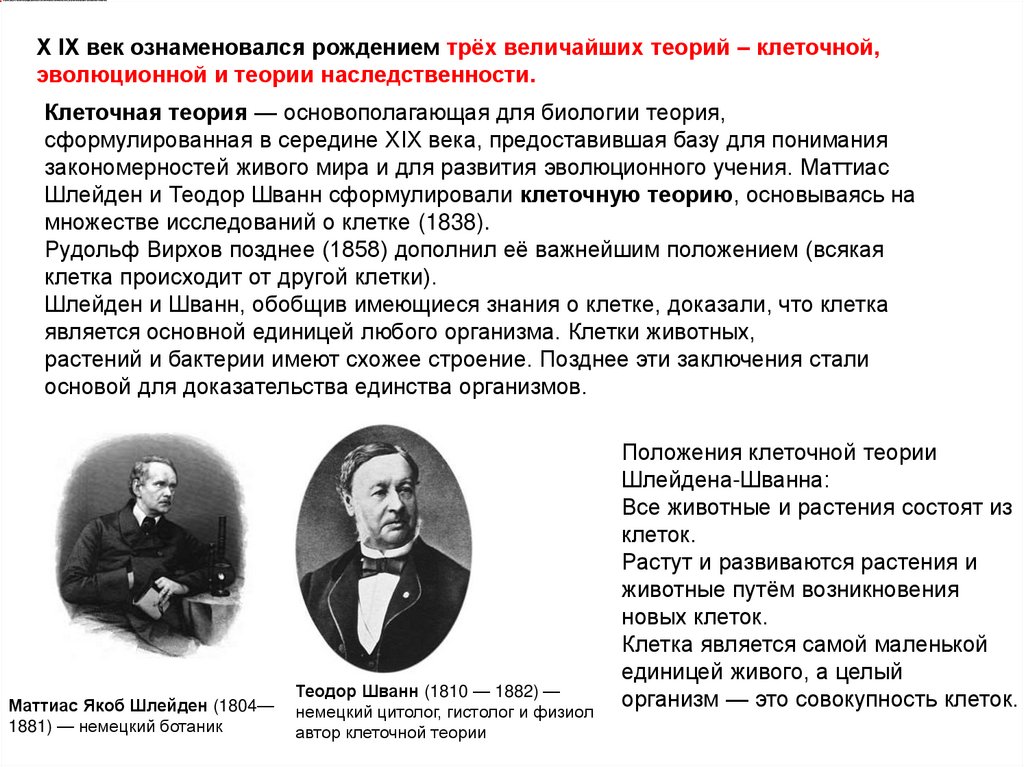Х ІХ век ознаменовался рождением трёх величайших теорий – клеточной, эволюционной и теории наследственности.