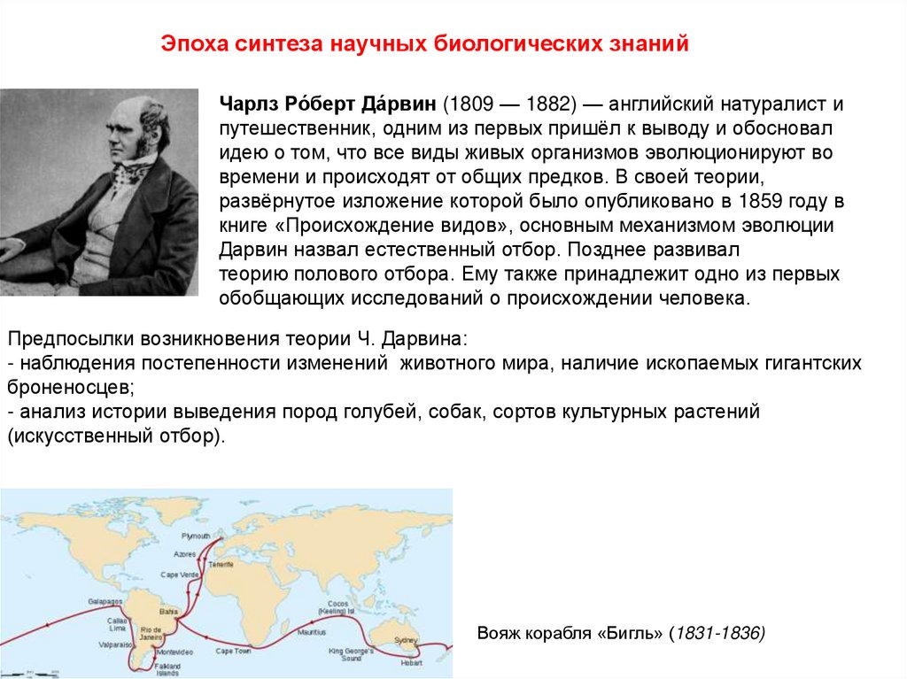 Чарлз Ро́берт Да́рвин (1809 — 1882) — английский натуралист и путешественник, одним из первых пришёл к выводу и обосновал идею