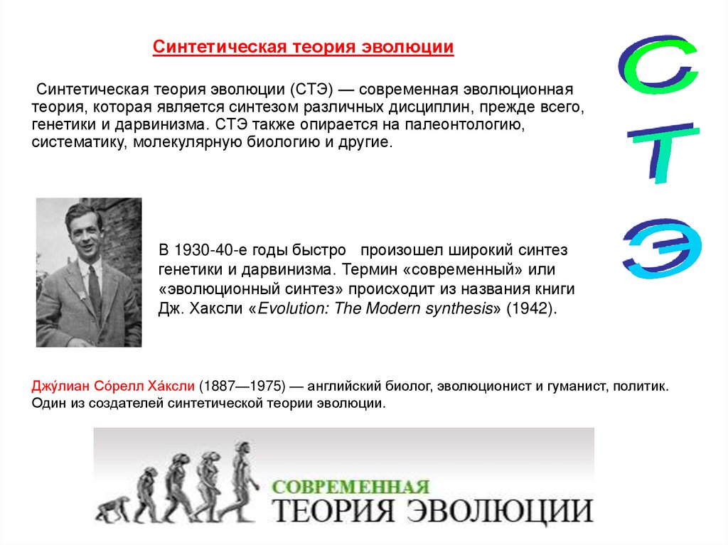 Синтетическая теория эволюции