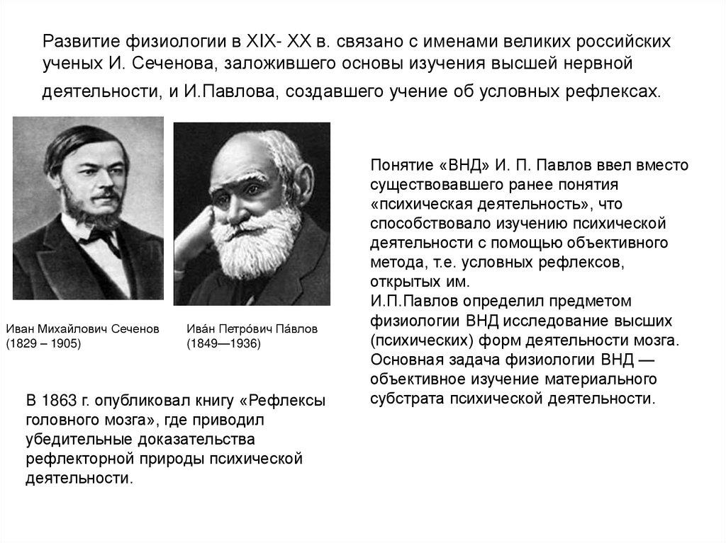 Развитие физиологии в ХIХ- ХХ в. связано с именами великих российских ученых И. Сеченова, заложившего основы изучения высшей