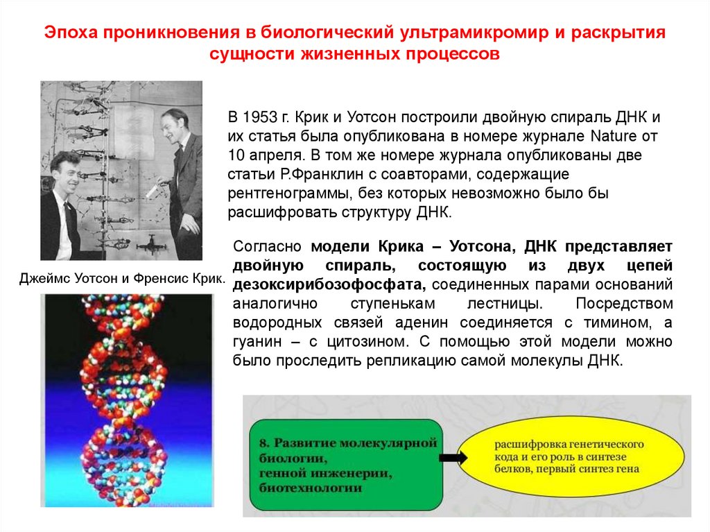 Эпоха проникновения в биологический ультрамикромир и раскрытия сущности жизненных процессов