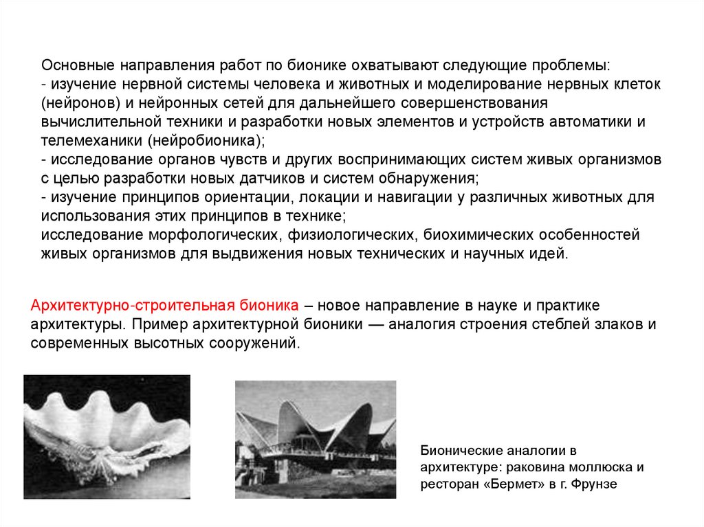 Основные направления работ по бионике охватывают следующие проблемы: - изучение нервной системы человека и животных и