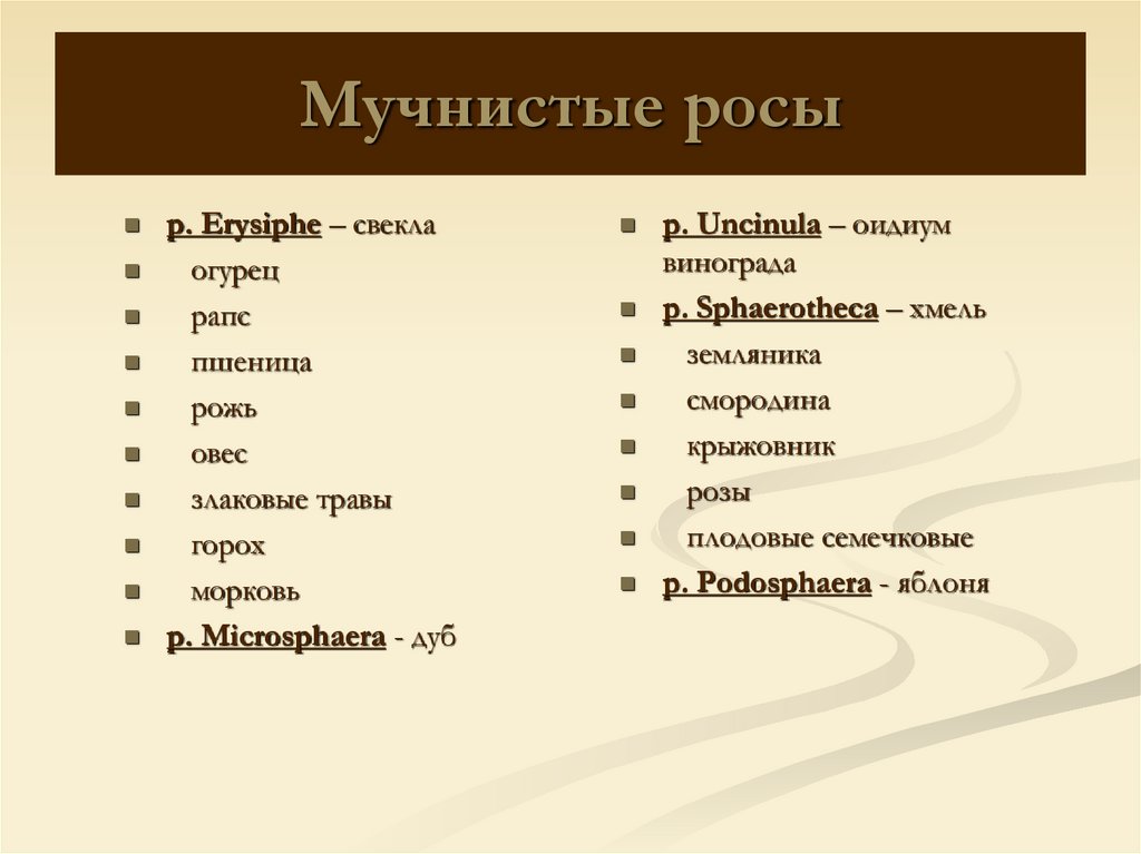 Мучнистые росы