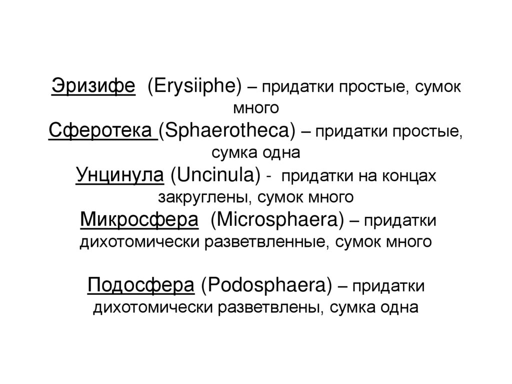 Эризифе (Erysiiphe) – придатки простые, сумок много Сферотека (Sphaerotheca) – придатки простые, сумка одна Унцинула (Uncinula)