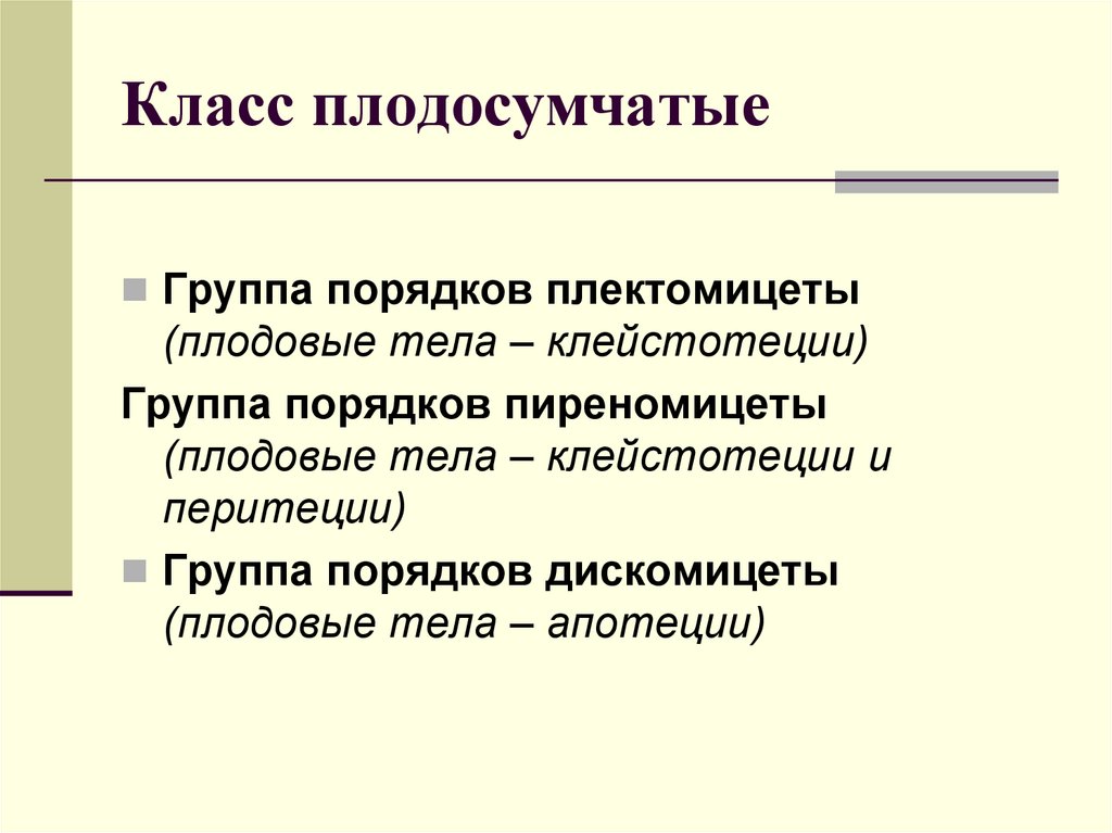 Класс плодосумчатые