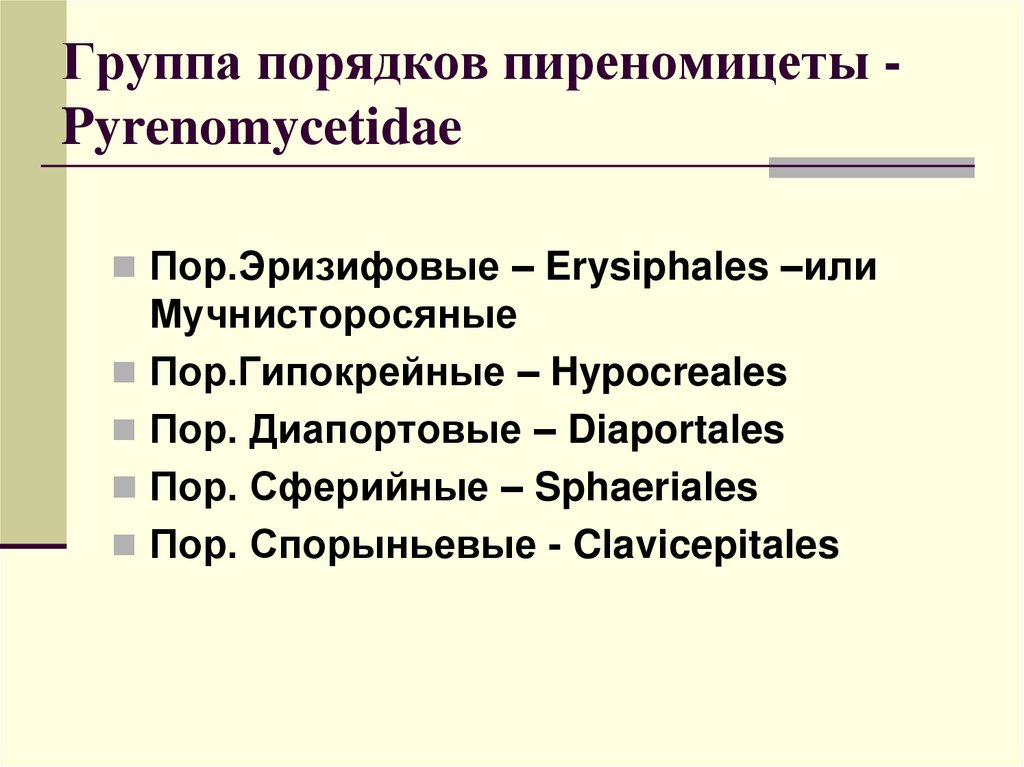 Группа порядков пиреномицеты - Pyrenomycetidae