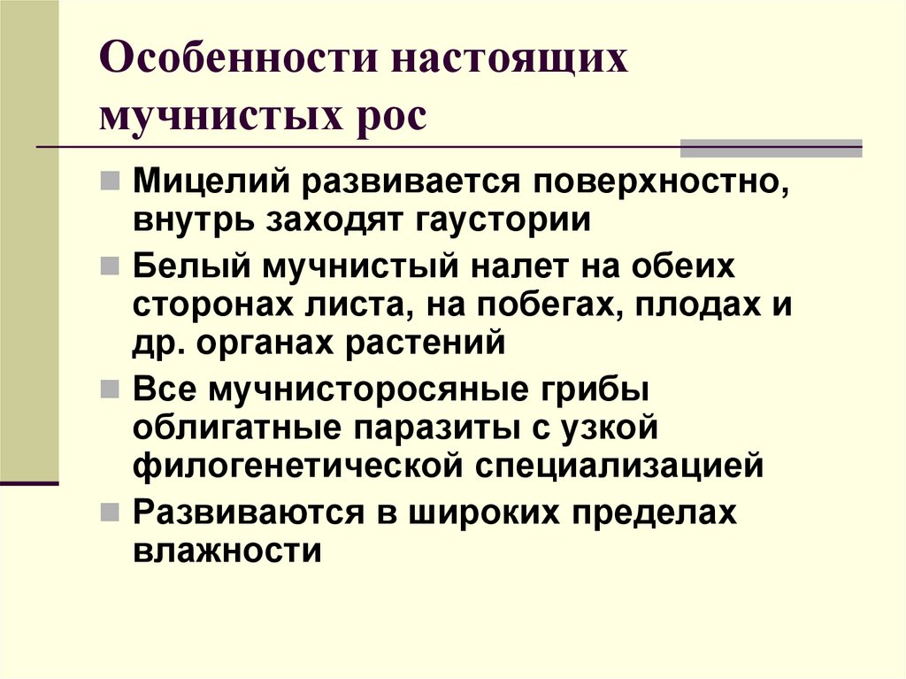Особенности настоящих мучнистых рос