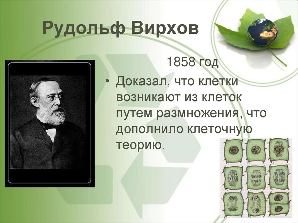 Рудольф Вирхов