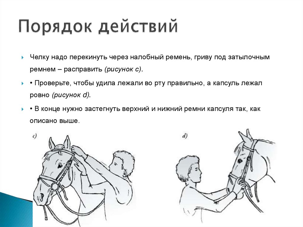 Порядок действий