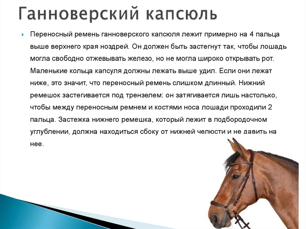 Ганноверский капсюль