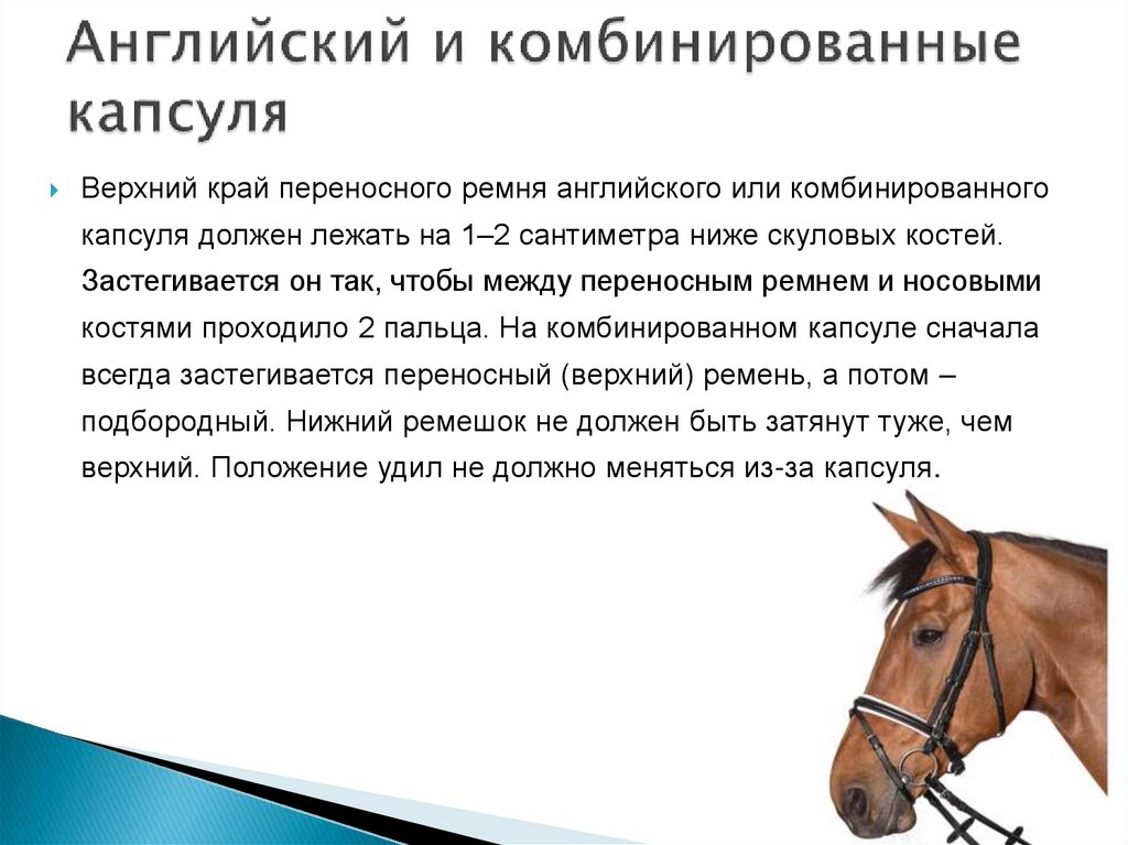 Английский и комбинированные капсуля