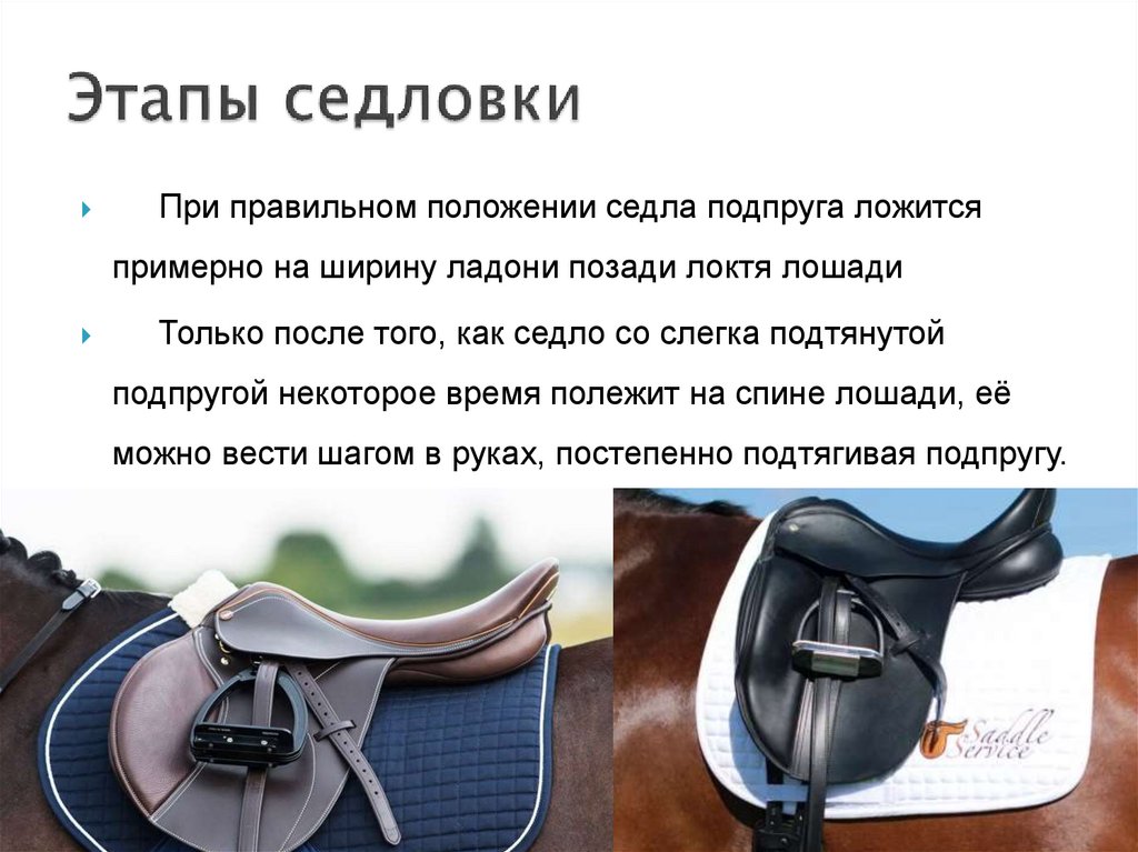 Этапы седловки